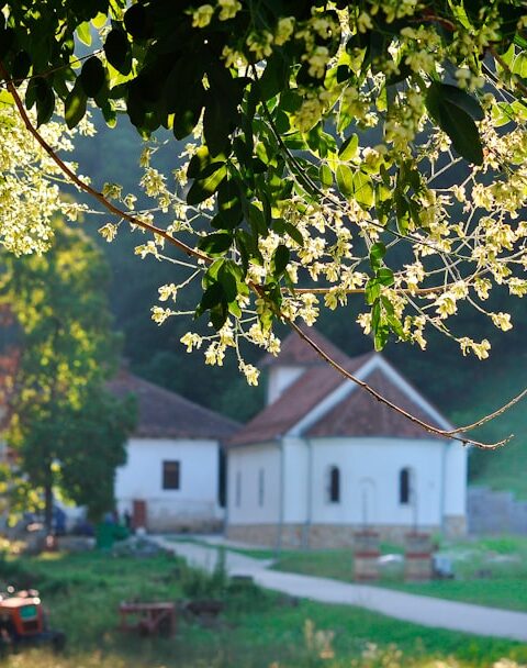 Błonia pod Zamkiem w Lublinie - idealne miejsce na piknik i koncerty