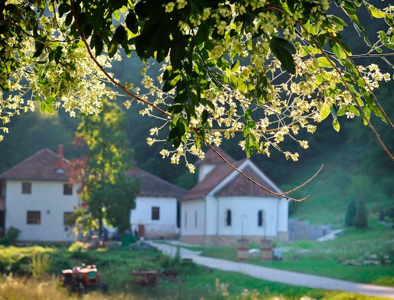 Błonia pod Zamkiem w Lublinie - idealne miejsce na piknik i koncerty