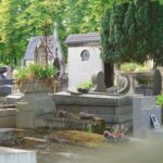 Muzeum Aptekarstwa w Lublinie: poznaj ciekawe eksponaty i historię farmacji