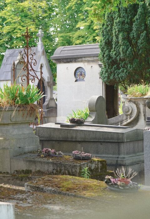 Cmentarz rzymskokatolicki w Lublinie: zabytki i historia najstarszej nekropolii