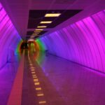 Gdzie na spacer w Lublinie? – przewodnik po najpiękniejszych parkach i ogrodach