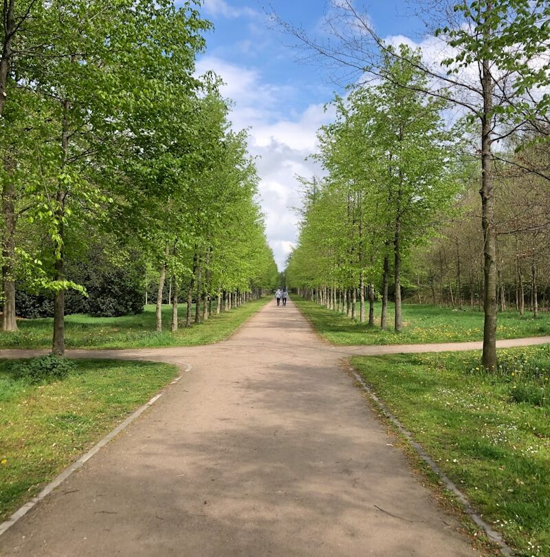 Park Ludowy w Lublinie: rekreacja, historia i aktywny wypoczynek