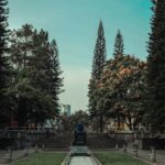 Fontanna na Placu Litewskim: pokazy wody i światła, które zachwycają