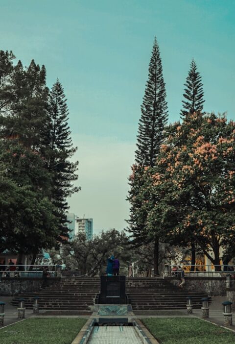 Stary Cmentarz w Lublinie: historia i znane groby