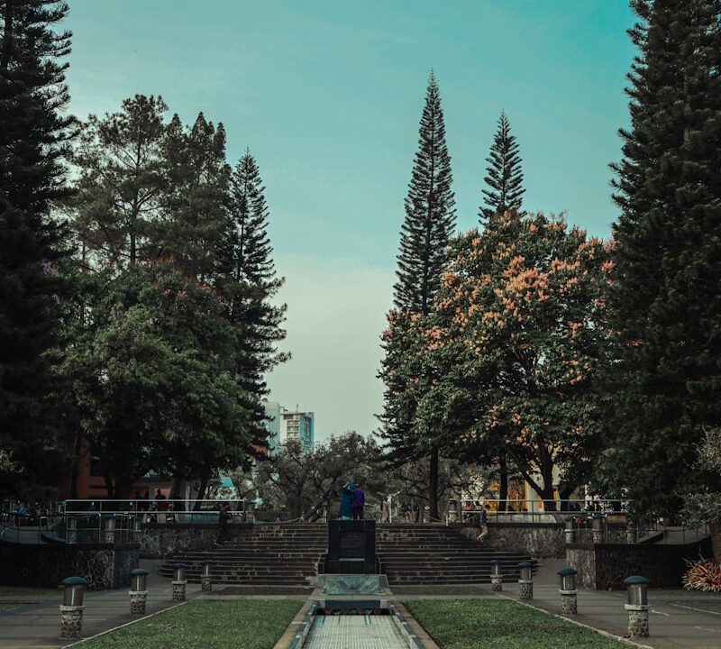 Stary Cmentarz w Lublinie: historia i znane groby