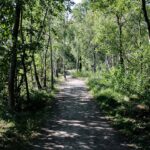 Ratusz w Lublinie: poznaj historię i co kryje się w środku