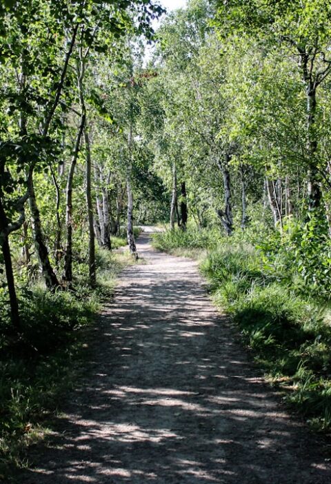 Lubelski Szlak Renesansu: trasa dla miłośników architektury