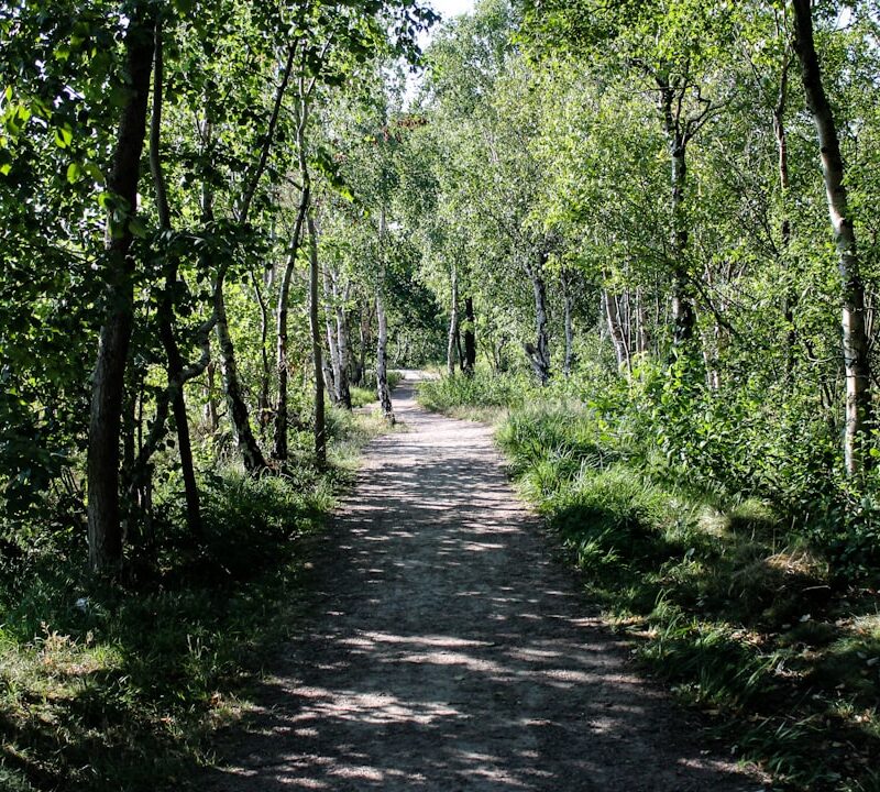 Lubelski Szlak Renesansu: trasa dla miłośników architektury