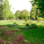 Fontanna na Placu Litewskim: pokazy wody i światła, które zachwycają