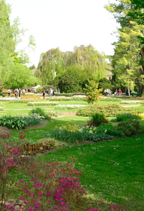 Park Słowackiego w Lublinie: historia, relaks i rekreacja