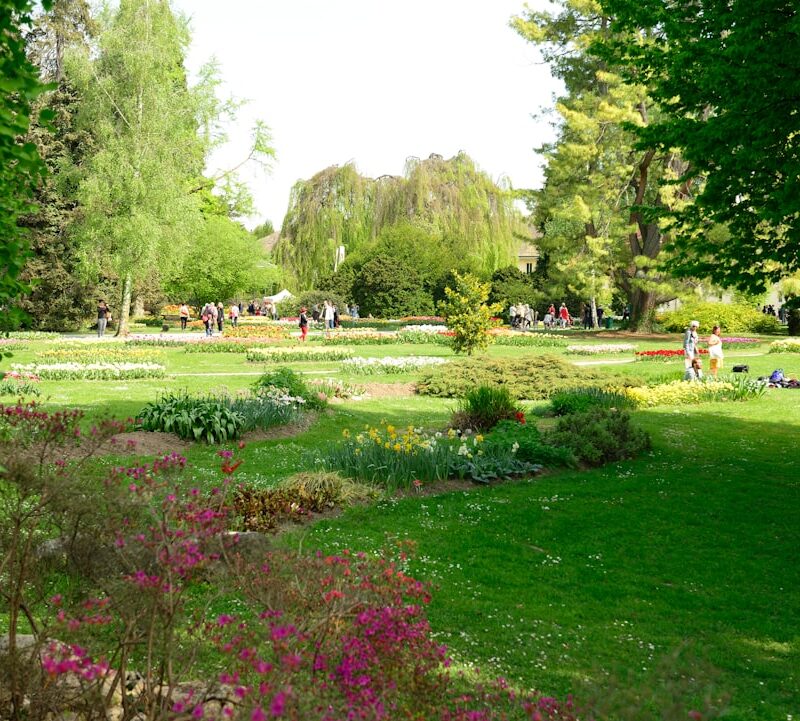 Park Słowackiego w Lublinie: historia, relaks i rekreacja