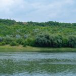 Cmentarz rzymskokatolicki w Lublinie: zabytki i historia najstarszej nekropolii