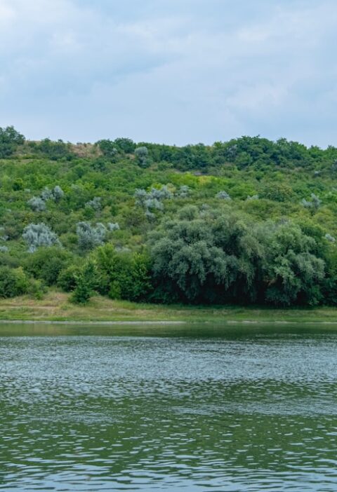 Zalew Zemborzycki w Lublinie: co robić nad wodą? rekreacja i atrakcje