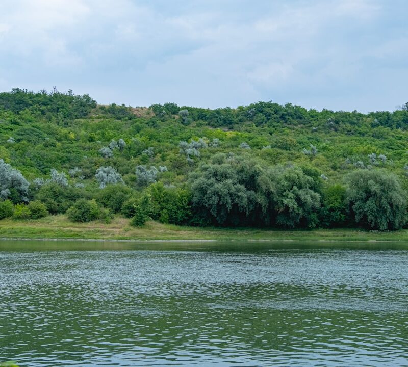Zalew Zemborzycki w Lublinie: co robić nad wodą? rekreacja i atrakcje