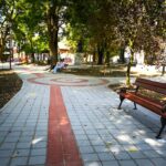 Lasy w okolicy Lublina – co warto zobaczyć i gdzie wybrać się na wycieczkę?