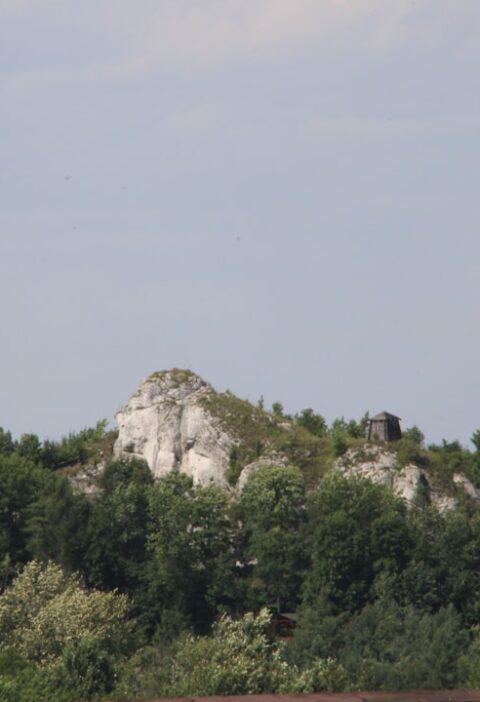 Brama Rybna w Lublinie: poznaj jej historię i ciekawostki