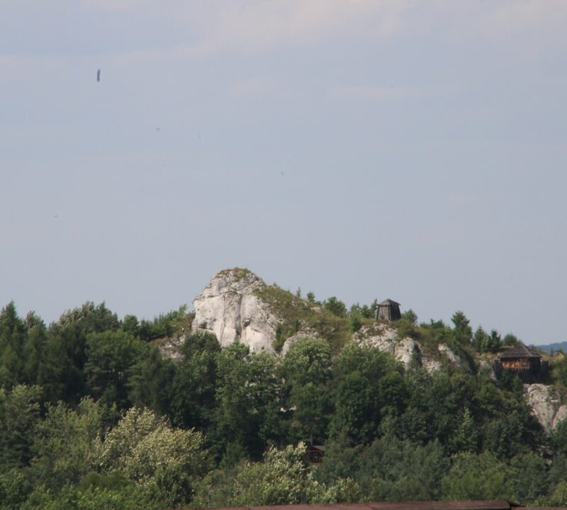 Brama Rybna w Lublinie: poznaj jej historię i ciekawostki