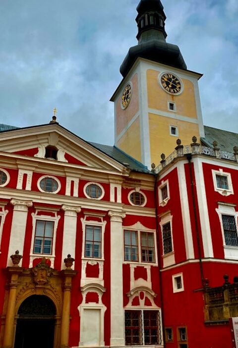 Lasy w okolicy Lublina - co warto zobaczyć i gdzie wybrać się na wycieczkę?