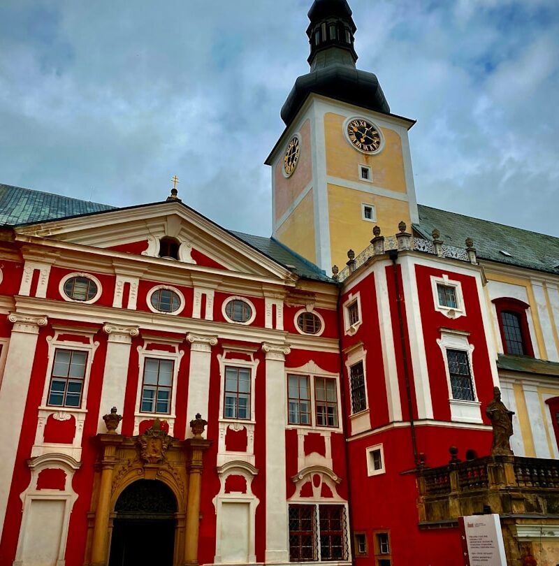 Lasy w okolicy Lublina - co warto zobaczyć i gdzie wybrać się na wycieczkę?