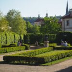 Motor Lublin – dlaczego warto zobaczyć mecz na żywo i jak kupić bilety?