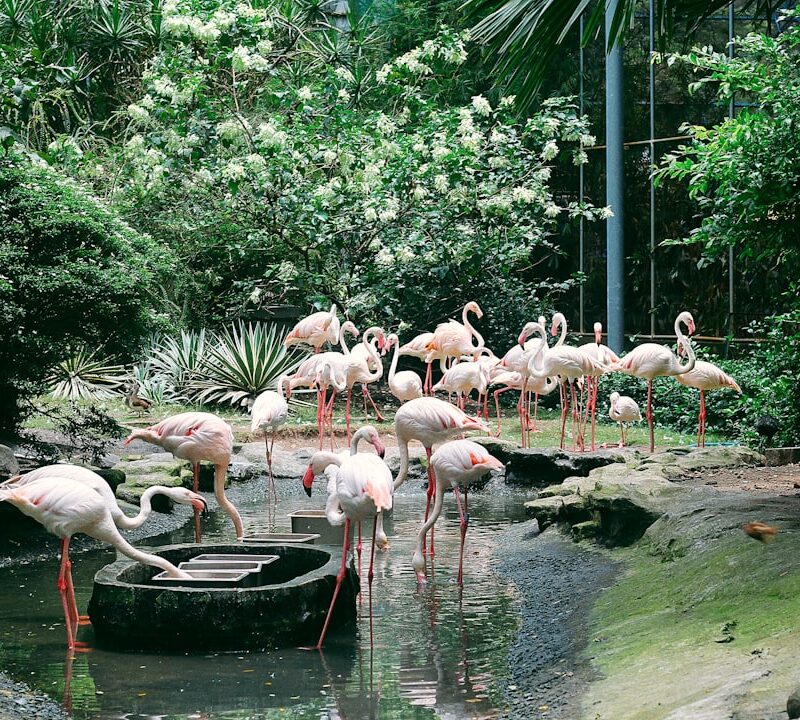 Pałac Lubomirskich w Lublinie: historia i ciekawostki dawnej rezydencji