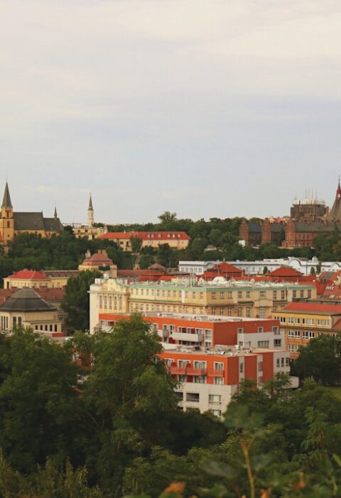 Pałac Hrabiny Orzeszko w Lublinie: historia i ciekawostki