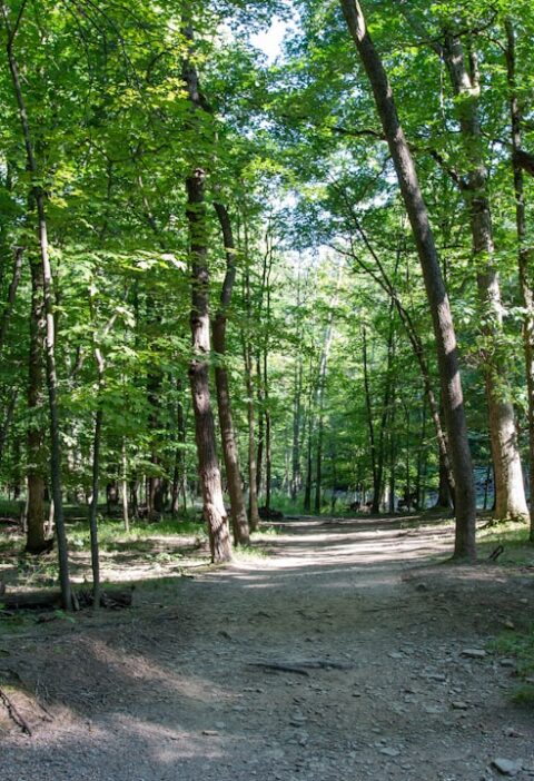 Dom Rybaka w Lublinie: zabytek przy Bramie Grodzkiej – historia i rola