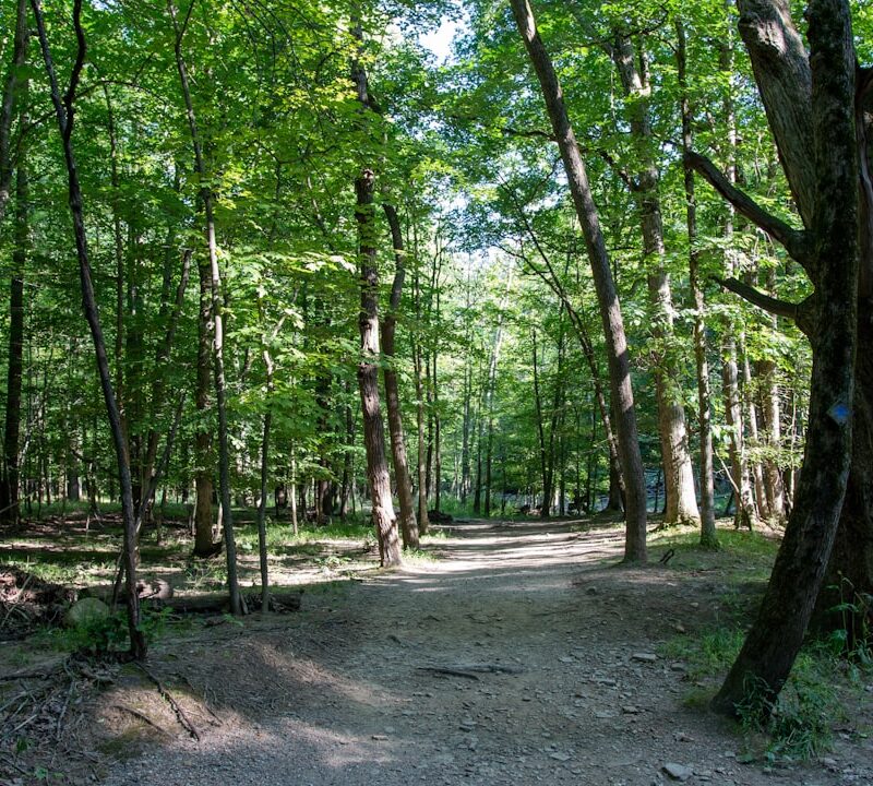 Dom Rybaka w Lublinie: zabytek przy Bramie Grodzkiej – historia i rola