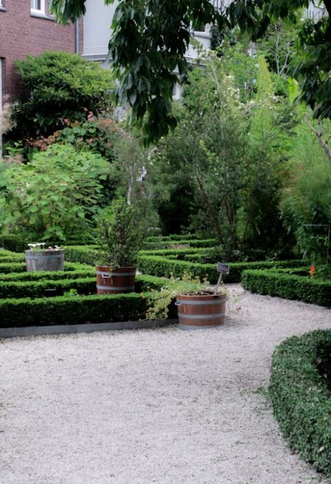 Ogród Botaniczny w Lublinie: co kwitnie wiosną? przewodnik dla miłośników natury