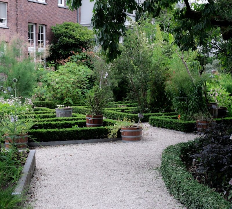 Ogród Botaniczny w Lublinie: co kwitnie wiosną? przewodnik dla miłośników natury