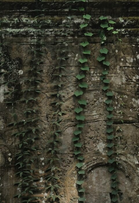 Muzeum H-B w Lublinie: historia drukarni i ciekawe zbiory