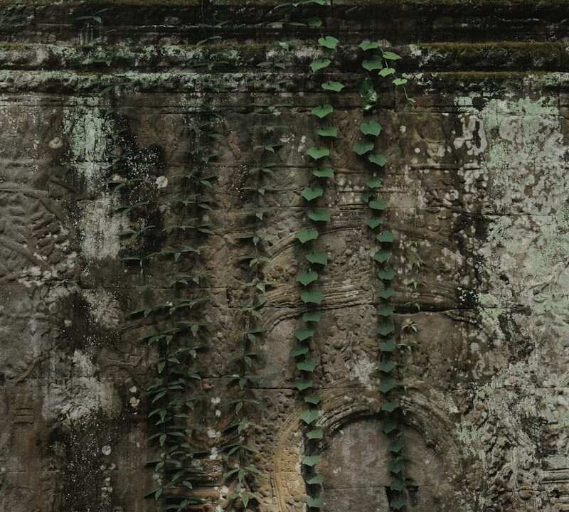 Muzeum H-B w Lublinie: historia drukarni i ciekawe zbiory