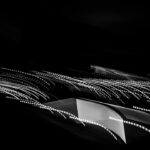 Kładka nad Bystrzycą w Lublinie: idealne miejsce na spacer i relaks